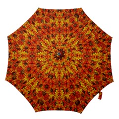 Ab 110 Hook Handle Umbrellas (large) by ArtworkByPatrick