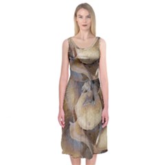 Close Up Mushroom Abstract Midi Sleeveless Dress by Fractalsandkaleidoscopes