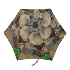 Close Up Mushroom Abstract Mini Folding Umbrellas by Fractalsandkaleidoscopes