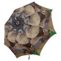 Close Up Mushroom Abstract Hook Handle Umbrellas (Medium) View2