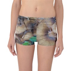 Close Up Mushroom Abstract Reversible Boyleg Bikini Bottoms by Fractalsandkaleidoscopes