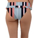 Bandes Orange/Bleu/Noir Frill Bikini Bottom View2