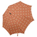 DF Union Valenti Hook Handle Umbrellas (Large) View2