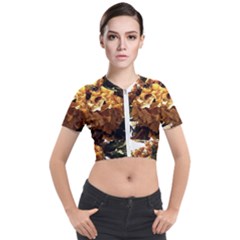 Begonia 1 2 Short Sleeve Cropped Jacket by bestdesignintheworld