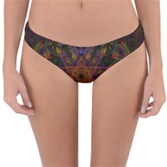 Fractal Abstract Background Pattern Reversible Hipster Bikini Bottoms by Wegoenart