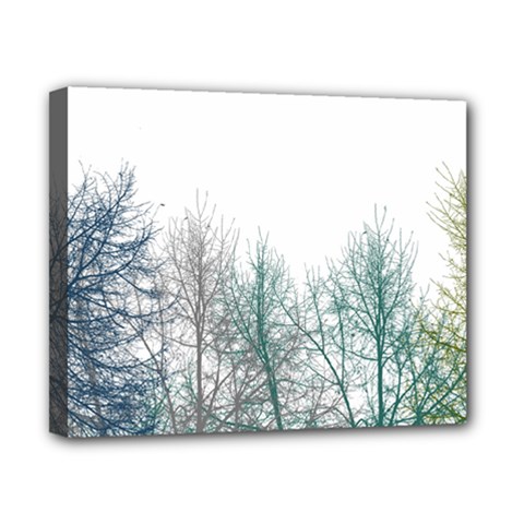 Multicolor Graphic Botanical Print Canvas 10  X 8  (stretched) by dflcprintsclothing