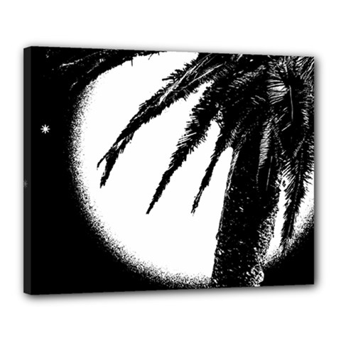 Black And White Tropical Moonscape Illustration Canvas 20  X 16  (stretched) by dflcprintsclothing