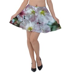 Pinkfloral Velvet Skater Skirt by Sparkle