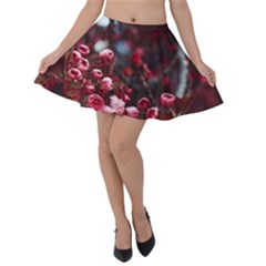 Red Floral Velvet Skater Skirt by Sparkle