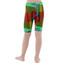 Rainbow colors palette mix, abstract triangles, asymmetric pattern Kids  Mid Length Swim Shorts View2