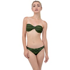 Sparkcubes Classic Bandeau Bikini Set by Sparkle