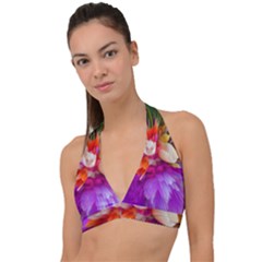 Poppy Flower Halter Plunge Bikini Top by Sparkle