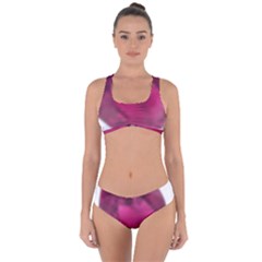Fun Fuschia Criss Cross Bikini Set by Janetaudreywilson