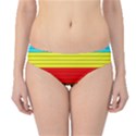 Multicolor With Black Lines Hipster Bikini Bottoms View1
