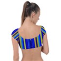 Blueyellow  Cap Sleeve Ring Bikini Top View2