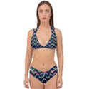 Geo Rainbow Stroke Double Strap Halter Bikini Set View1