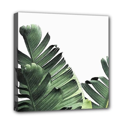 Banana Leaves Mini Canvas 8  X 8  (stretched) by goljakoff