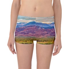 Arid Andean Landscape, La Rioja, Argentina010 Boyleg Bikini Bottoms by dflcprintsclothing