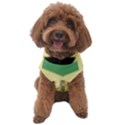 Jamaica, Jamaica  Dog Sweater View1