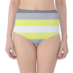 Deminonbinary Pride Flag Lgbtq Classic High-waist Bikini Bottoms by lgbtnation