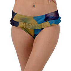 Kaleidoscope Frill Bikini Bottom by WILLBIRDWELL