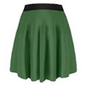 Basil Green - High Waist Skirt View2