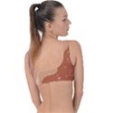 Online Woman Beauty Brown Ring Detail Bikini Top View2