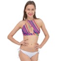 Colorful stripes Cross Front Halter Bikini Top View1