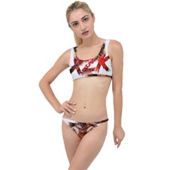 Xzk8 The Little Details Bikini Set by XzoticKingdom4U