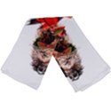 Xzk8 Long Sheer Chiffon Scarf  View3