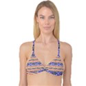 Native American Pattern Reversible Tri Bikini Top View1