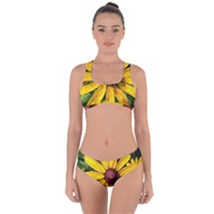 Sunflower Painting Criss Cross Bikini Set by ExtraAwesomeSauce
