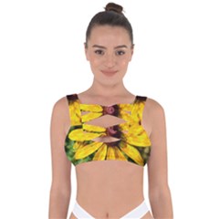 Sunflower Painting Bandaged Up Bikini Top by ExtraAwesomeSauce