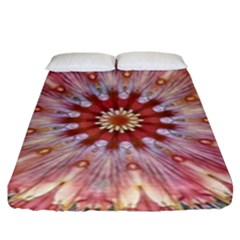 Pink Beauty 1 Fitted Sheet (king Size) by LW41021