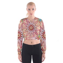 Pink Beauty 1 Cropped Sweatshirt by LW41021