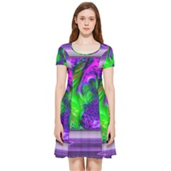 Feathery Winds Inside Out Cap Sleeve Dress by LW41021