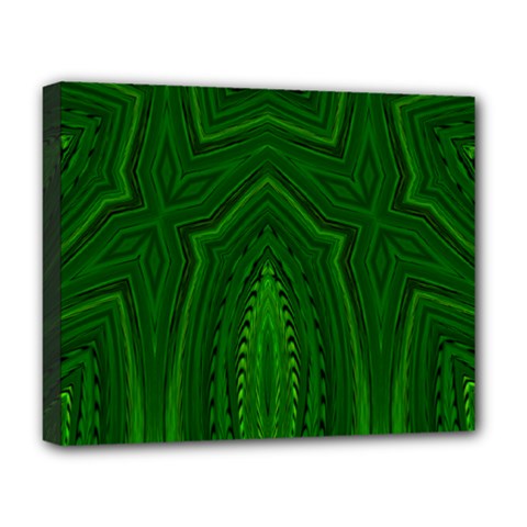 Freshspring3 Deluxe Canvas 20  X 16  (stretched) by LW323