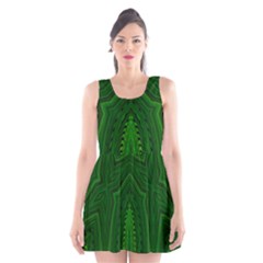 Freshspring3 Scoop Neck Skater Dress by LW323