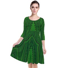 Freshspring3 Quarter Sleeve Waist Band Dress by LW323