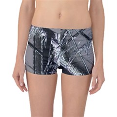 Ag Cobwebs Boyleg Bikini Bottoms by MRNStudios