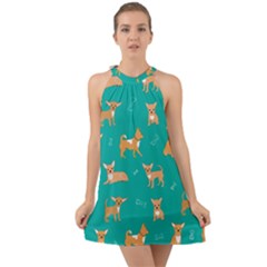 Cute Chihuahua Dogs Halter Tie Back Chiffon Dress by SychEva