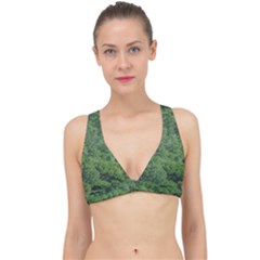 Leafy Forest Landscape Photo Classic Banded Bikini Top by dflcprintsclothing