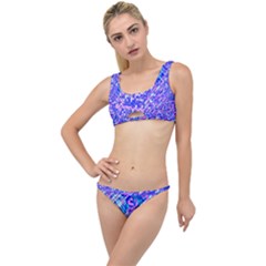 Root Humanity Bar And Qr Code Combo In Purple And Blue The Little Details Bikini Set by WetdryvacsLair