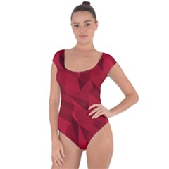Amaranth Short Sleeve Leotard  by webstylecreations