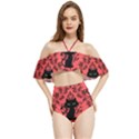 Cat Pattern Halter Flowy Bikini Set  View1
