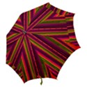 Warped Stripy Dots Hook Handle Umbrellas (Large) View2