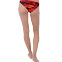 Red  Waves Abstract Series No16 Ring Detail Bikini Bottom View2