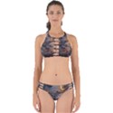 Sky ship Perfectly Cut Out Bikini Set View1