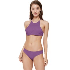 Dahlia Banded Triangle Bikini Set by retrotoomoderndesigns