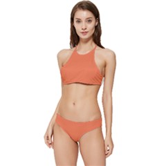 Coral Rose Banded Triangle Bikini Set by retrotoomoderndesigns
